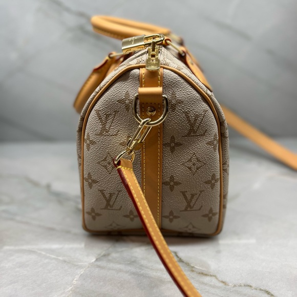 Louis Vuitton Speedy Bandoulière 25 Monopaname Monogram Paris Street Sign - Picture 6 of 13